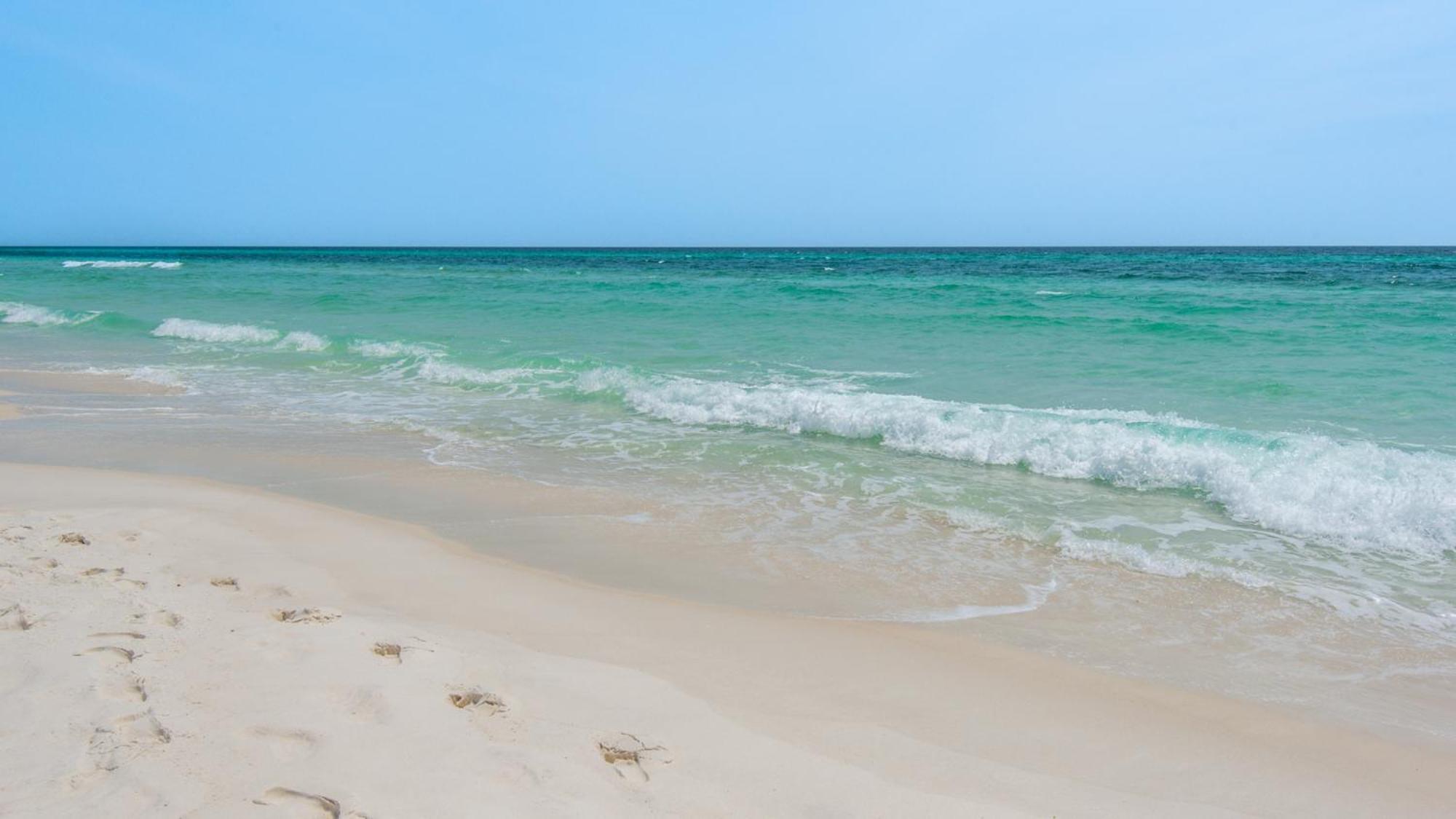 Bahama West 106 Panama City Beach